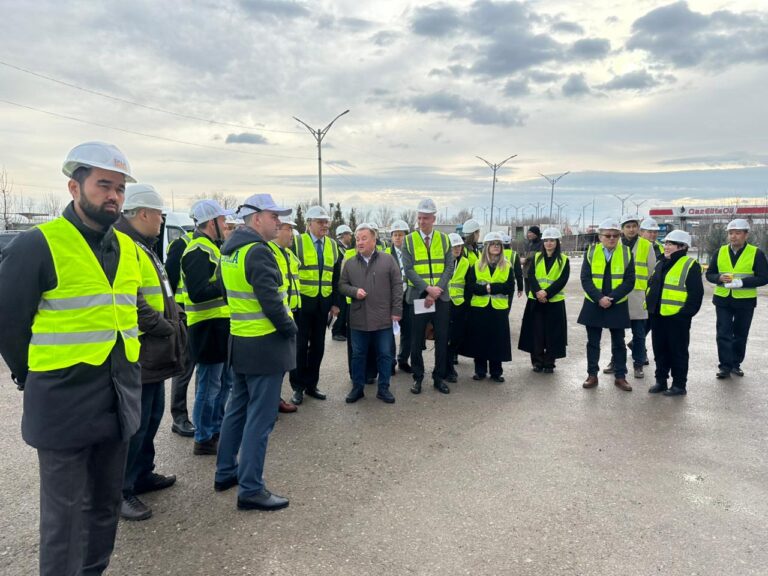 WhatsApp Image 2026-02-10 at 14.27.22