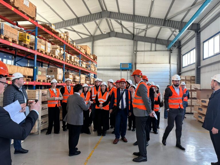 WhatsApp Image 2026-02-10 at 16.51.05